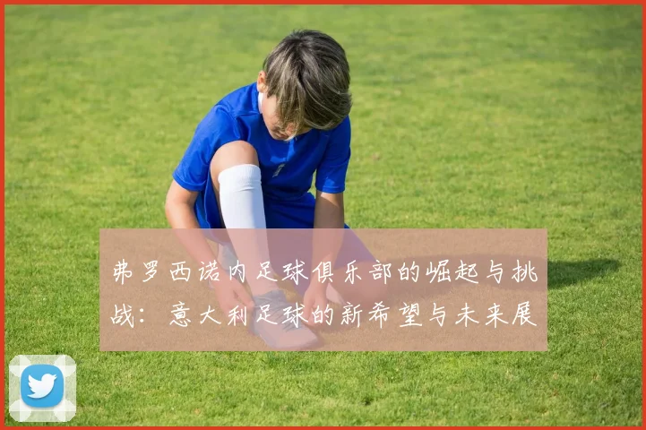 弗罗西诺内足球俱乐部的崛起与挑战：意大利足球的新希望与未来展望