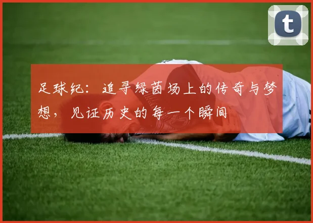 足球纪：追寻绿茵场上的传奇与梦想，见证历史的每一个瞬间