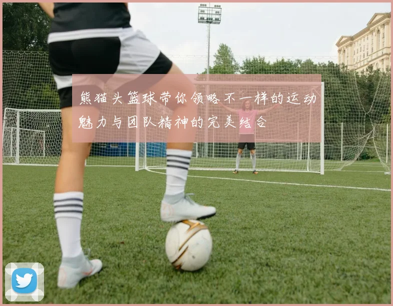 熊猫头篮球带你领略不一样的运动魅力与团队精神的完美结合